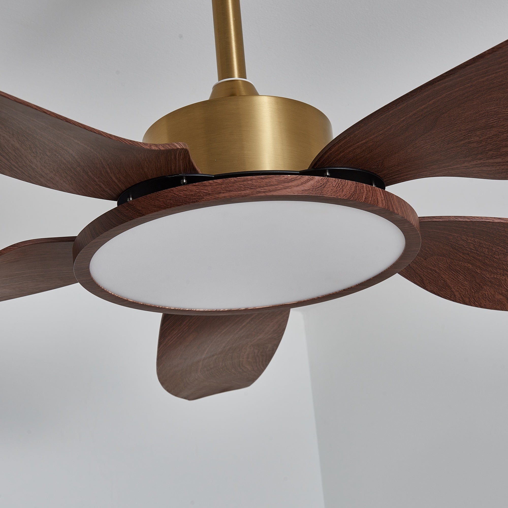 Aurelia Modern Wood Brass Ceiling Fan Light