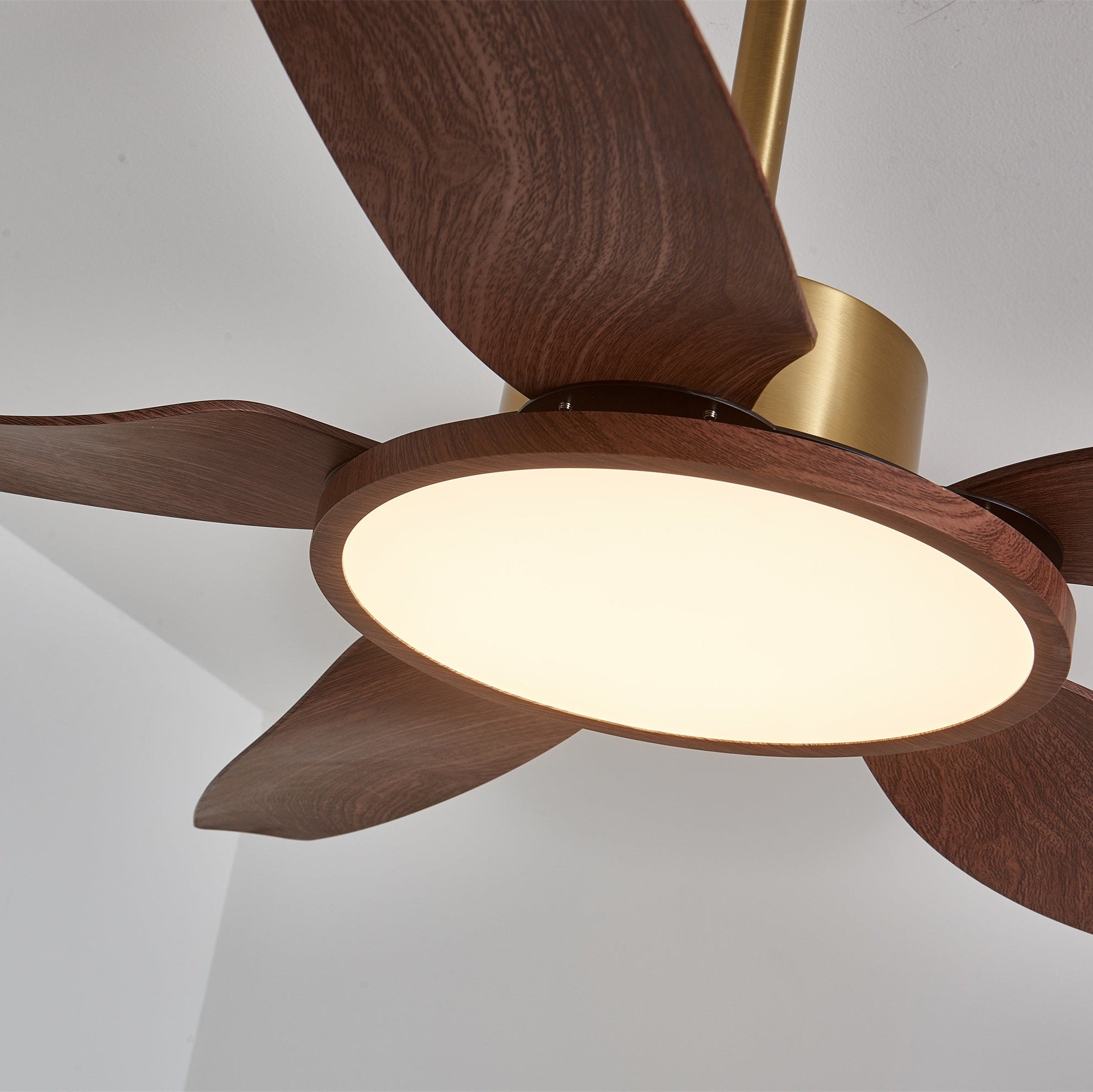 Aurelia Modern Wood Brass Ceiling Fan Light - Neutral Decor