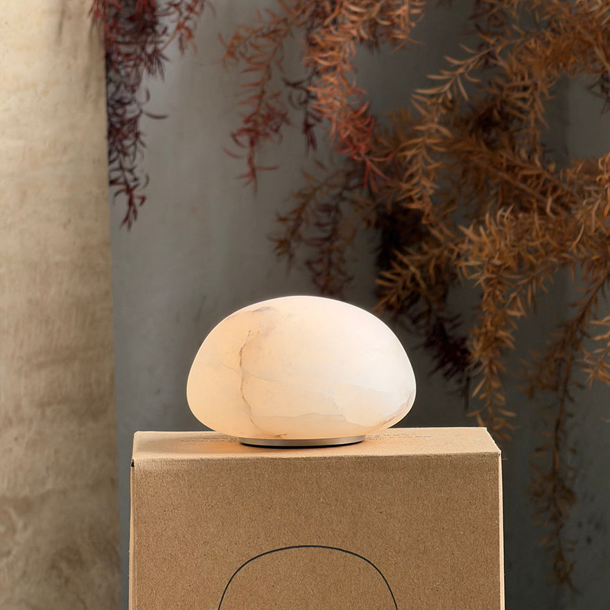 Terioia Table Lamp
