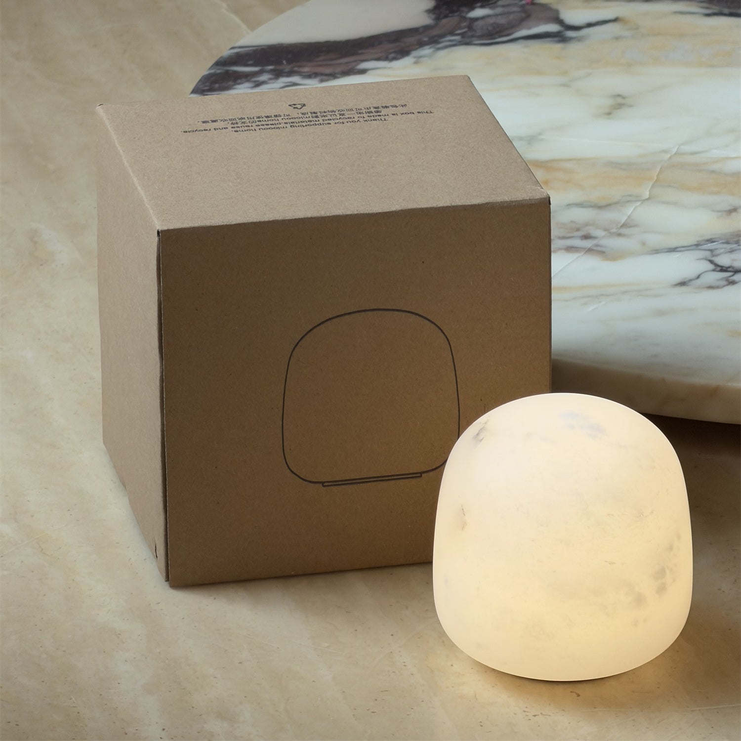 Terioia Table Lamp