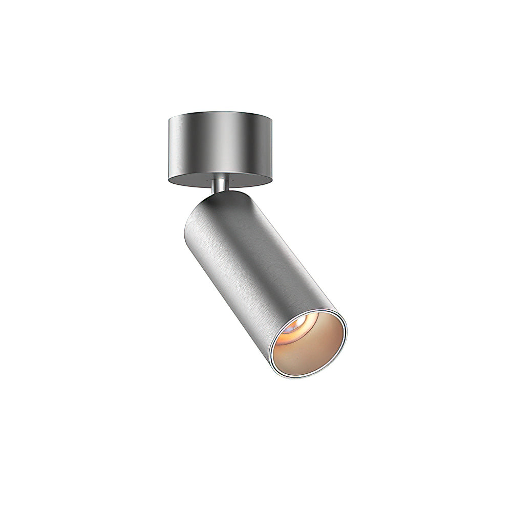 Riveia Ceiling Spotlight Lamp
