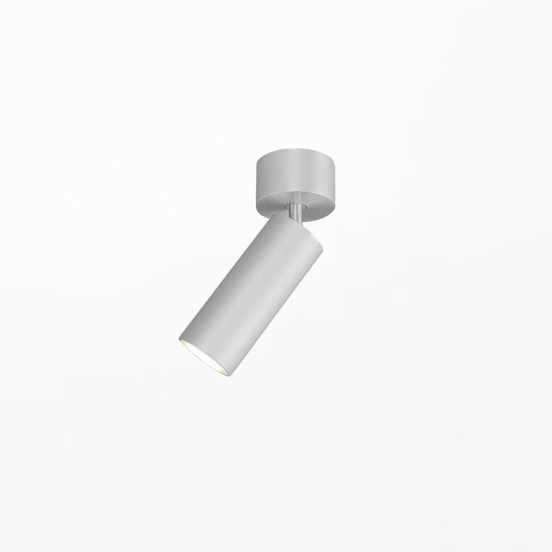 Riveia Ceiling Spotlight Lamp