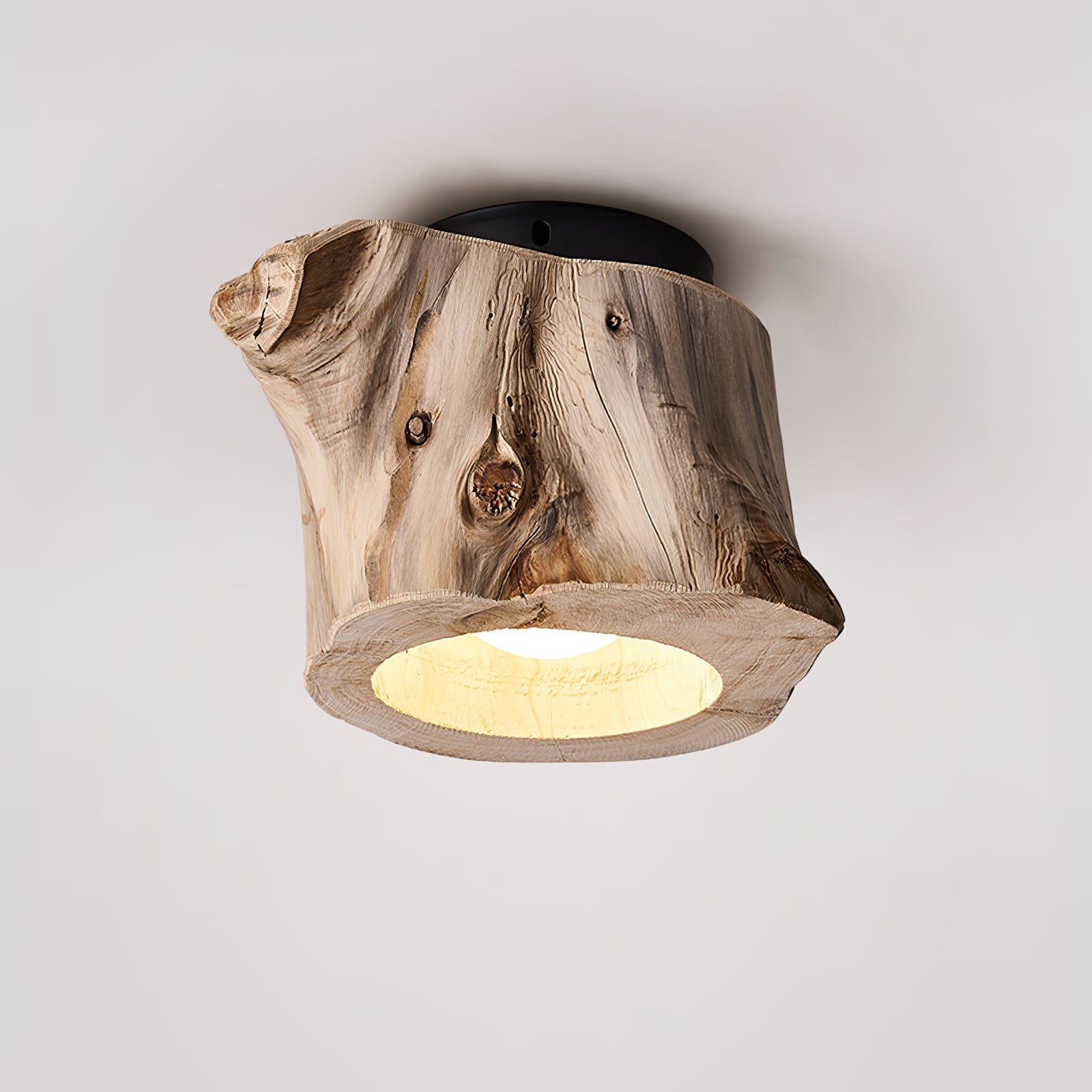Tybn Hollow Ceiing Lamp