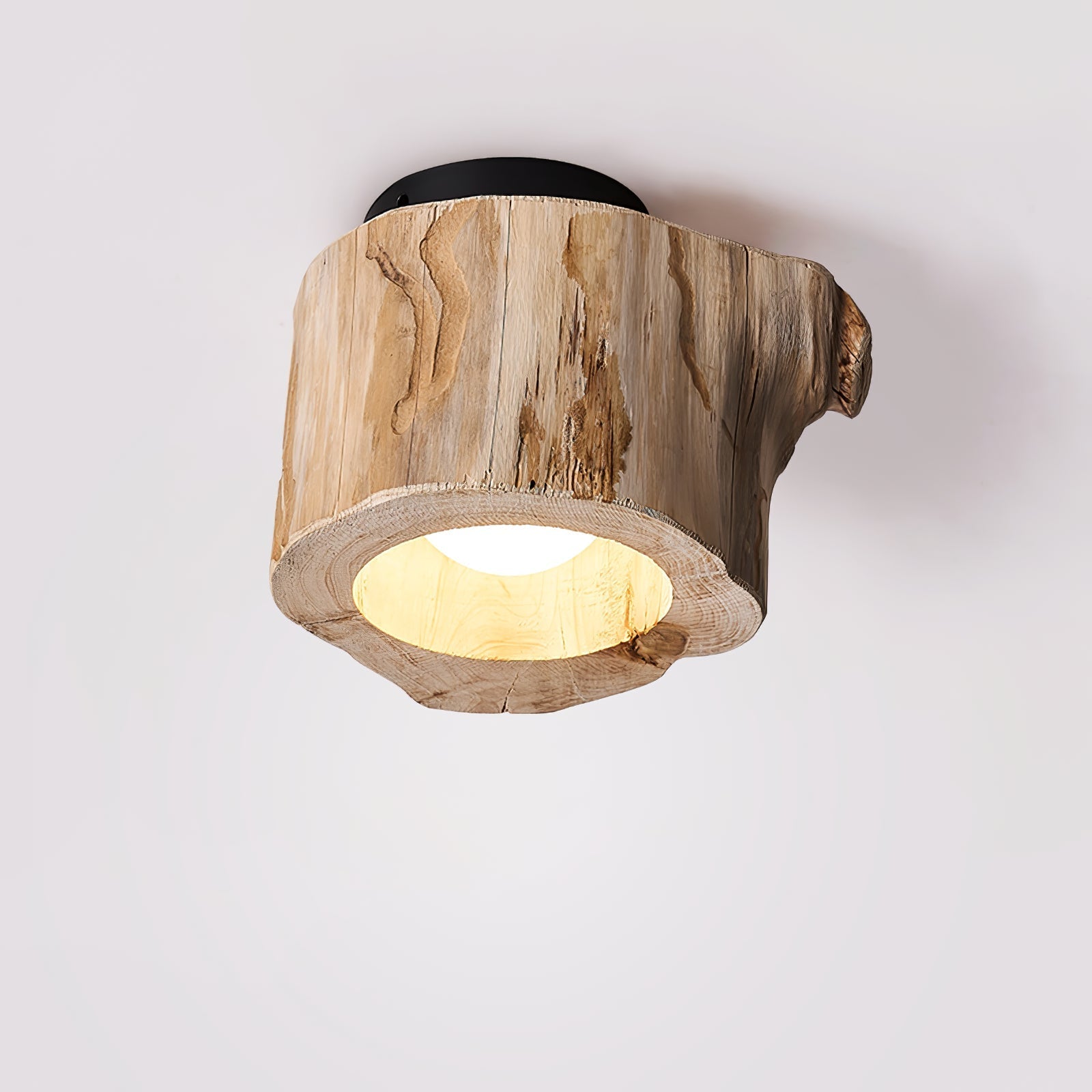 Tybn Hollow Ceiing Lamp