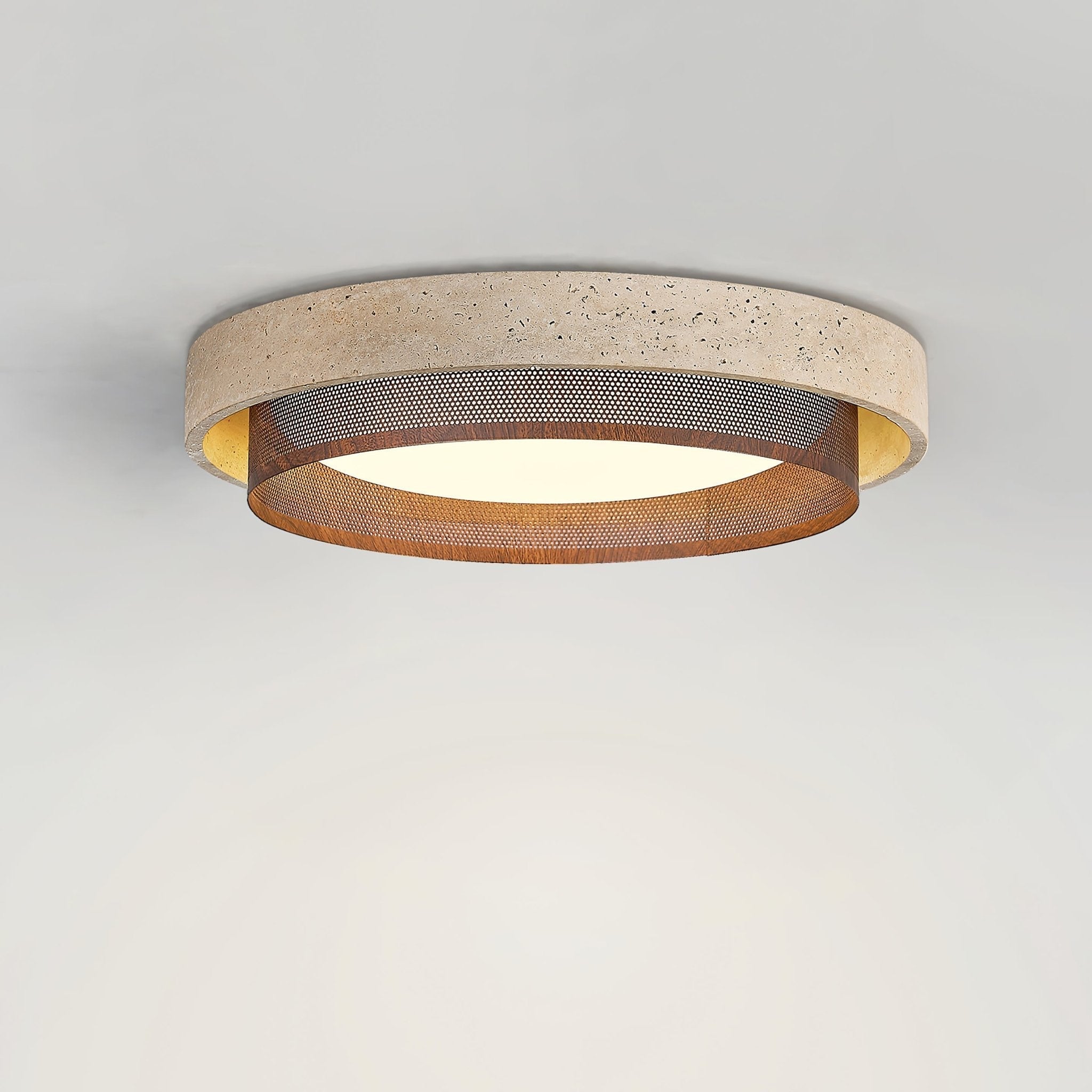 Reniena Forge Ceiling Light