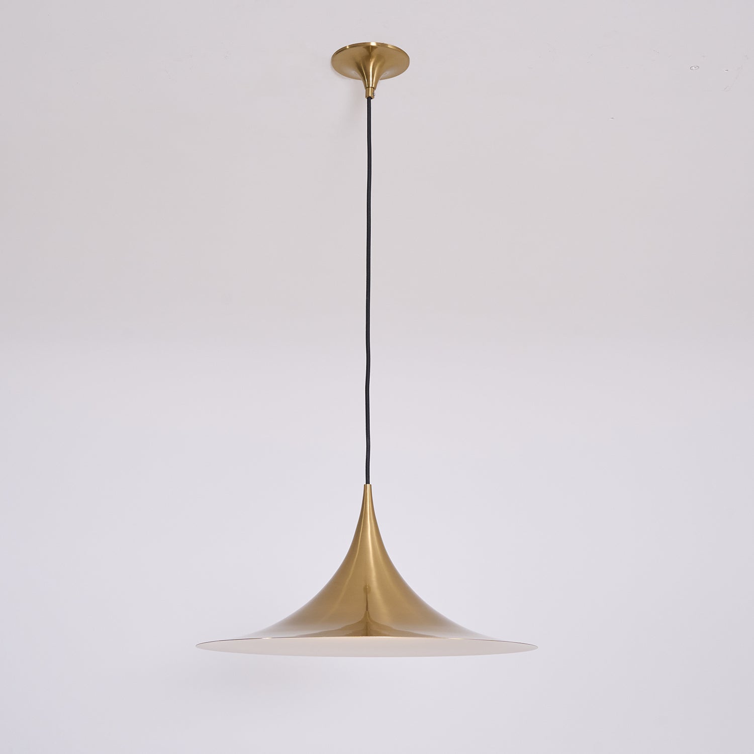 Lioreina Swag Pendant Light