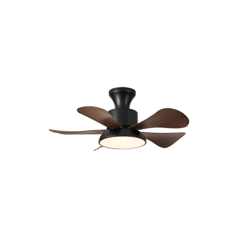 Avenereon Ceiling Fan Light