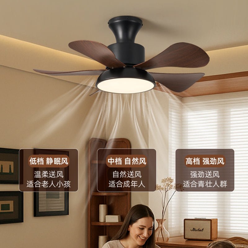 Avenereon Ceiling Fan Light