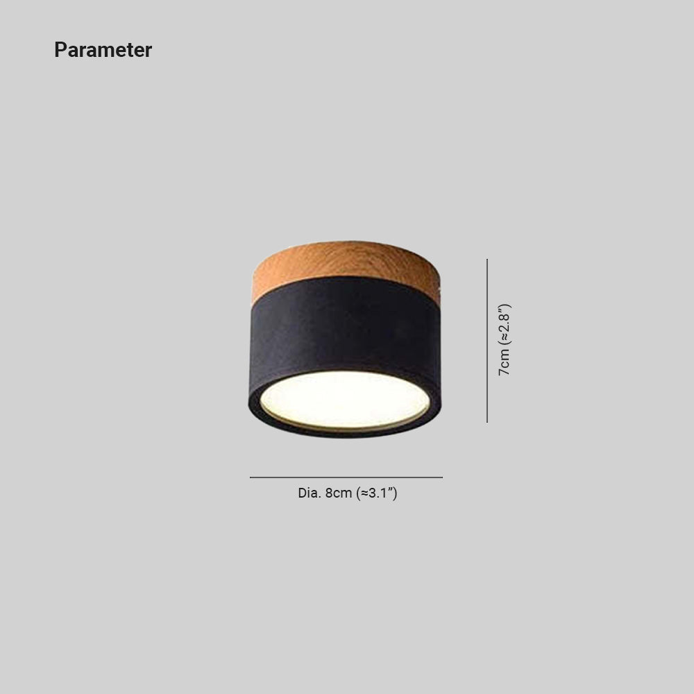 Valentina Modern Cylindrical /Acrylic Flush Mount Ceiling Light Hallway