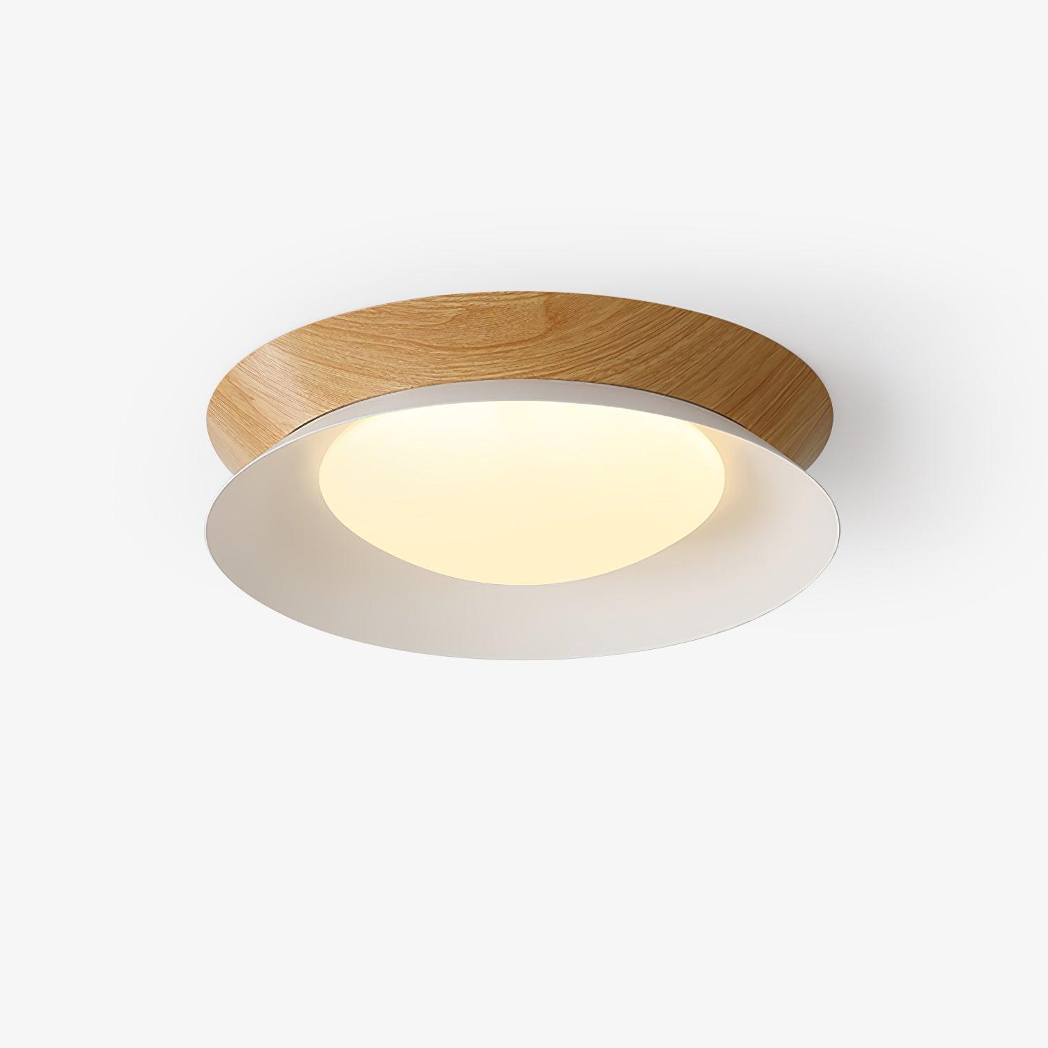 Acor Ceiling Light Ring Double Half Round Nordic