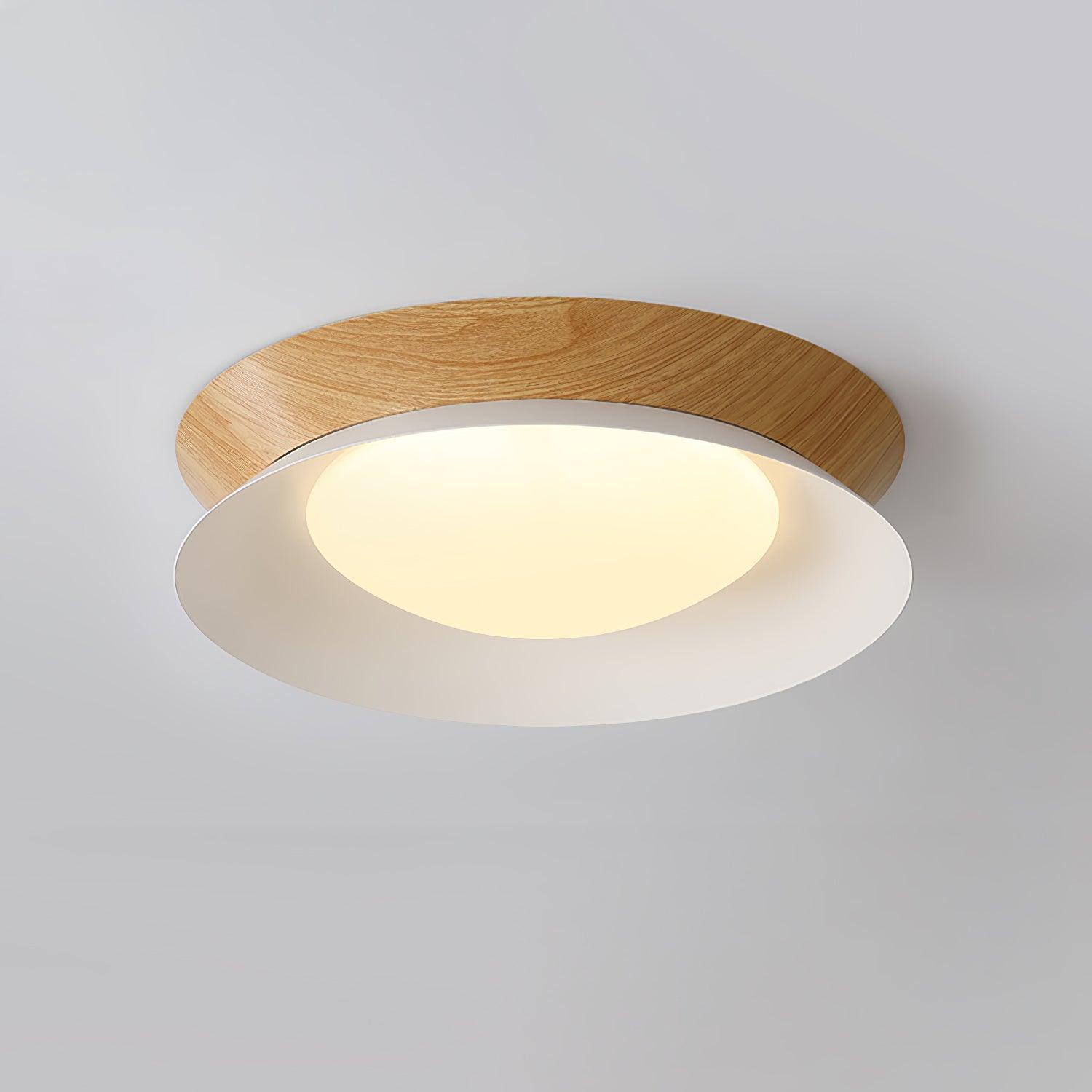 Acor Ceiling Light Ring Double Half Round Nordic