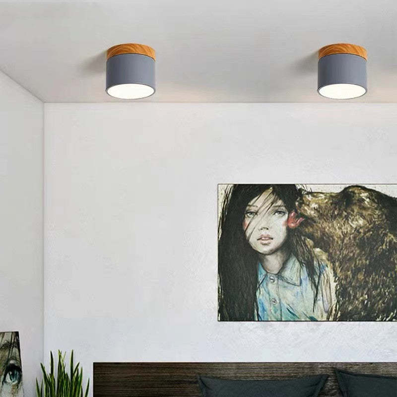 Valentina Modern Cylindrical /Acrylic Flush Mount Ceiling Light Hallway