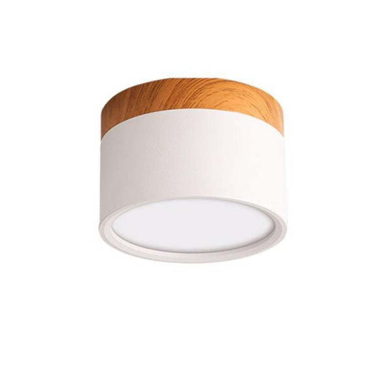 Valentina Modern Cylindrical /Acrylic Flush Mount Ceiling Light Hallway