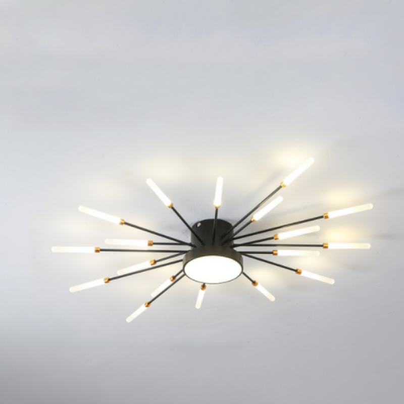 Arisha Modern Home Decoration Fireworks LED Ceiling Light