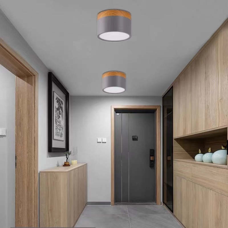 Valentina Modern Cylindrical /Acrylic Flush Mount Ceiling Light Hallway