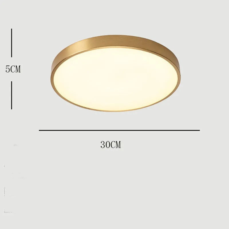 Arisha Nordic LED Round Flush Mount Ceiling Light &Acrylic
