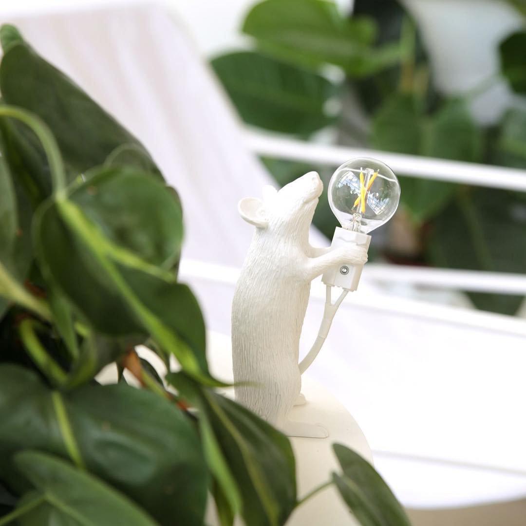 Kalinix Resin Whimsical Table Light