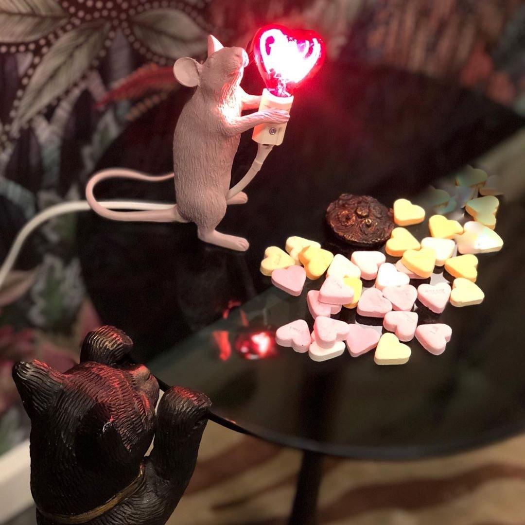 Kalinix Resin Whimsical Table Light