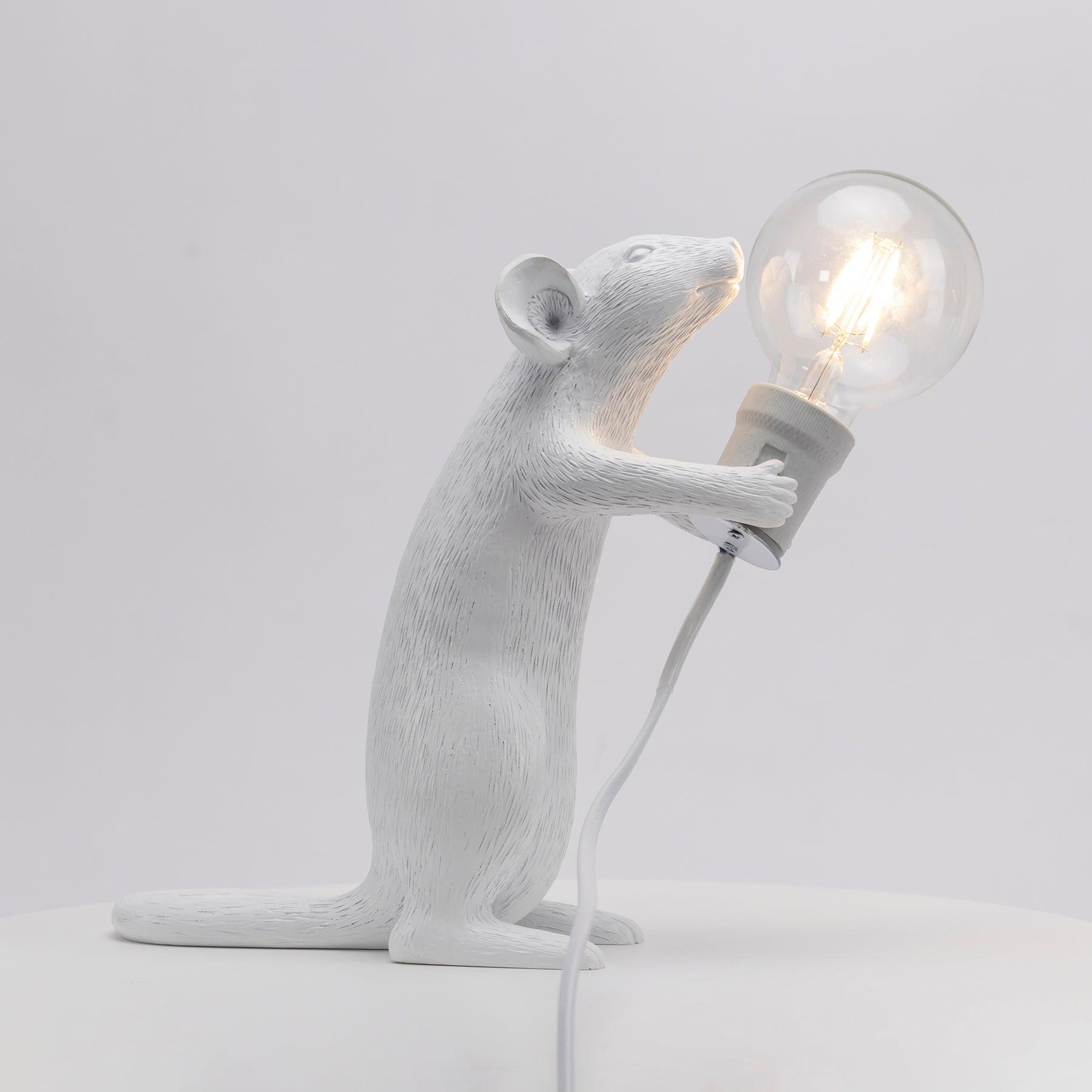 Kalinix Resin Whimsical Table Light