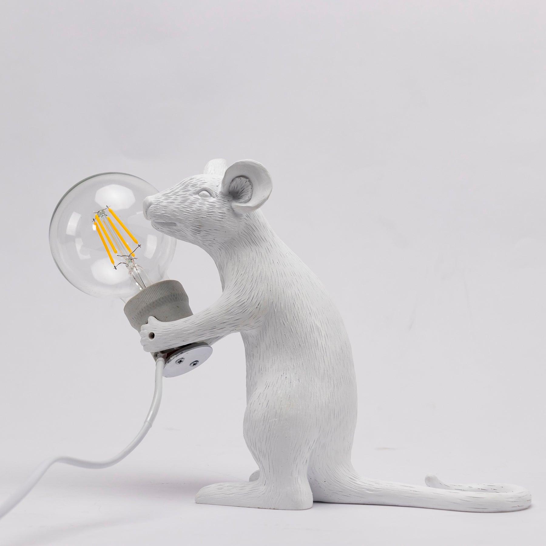 Kalinix Resin Whimsical Table Light