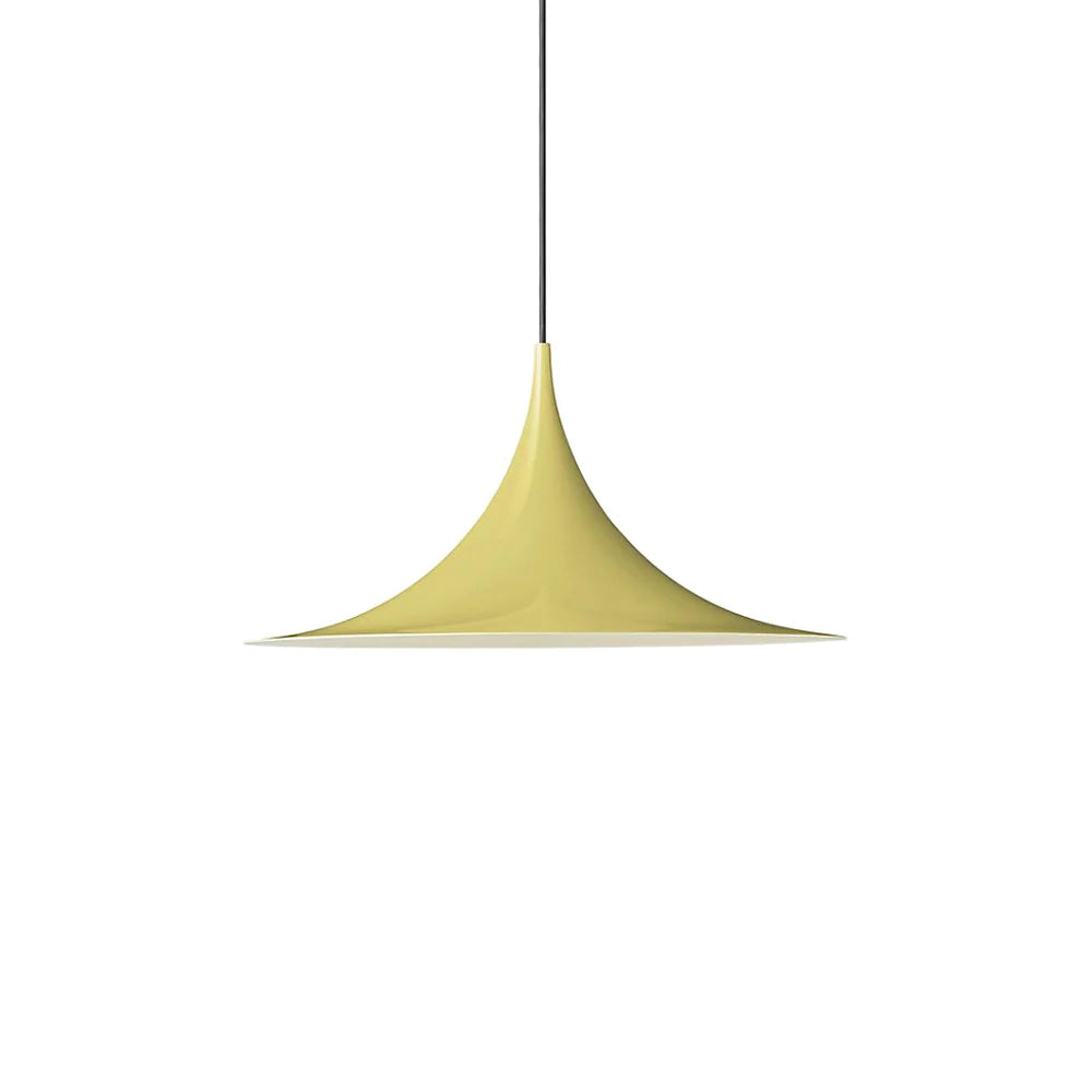Lioreina Swag Pendant Light