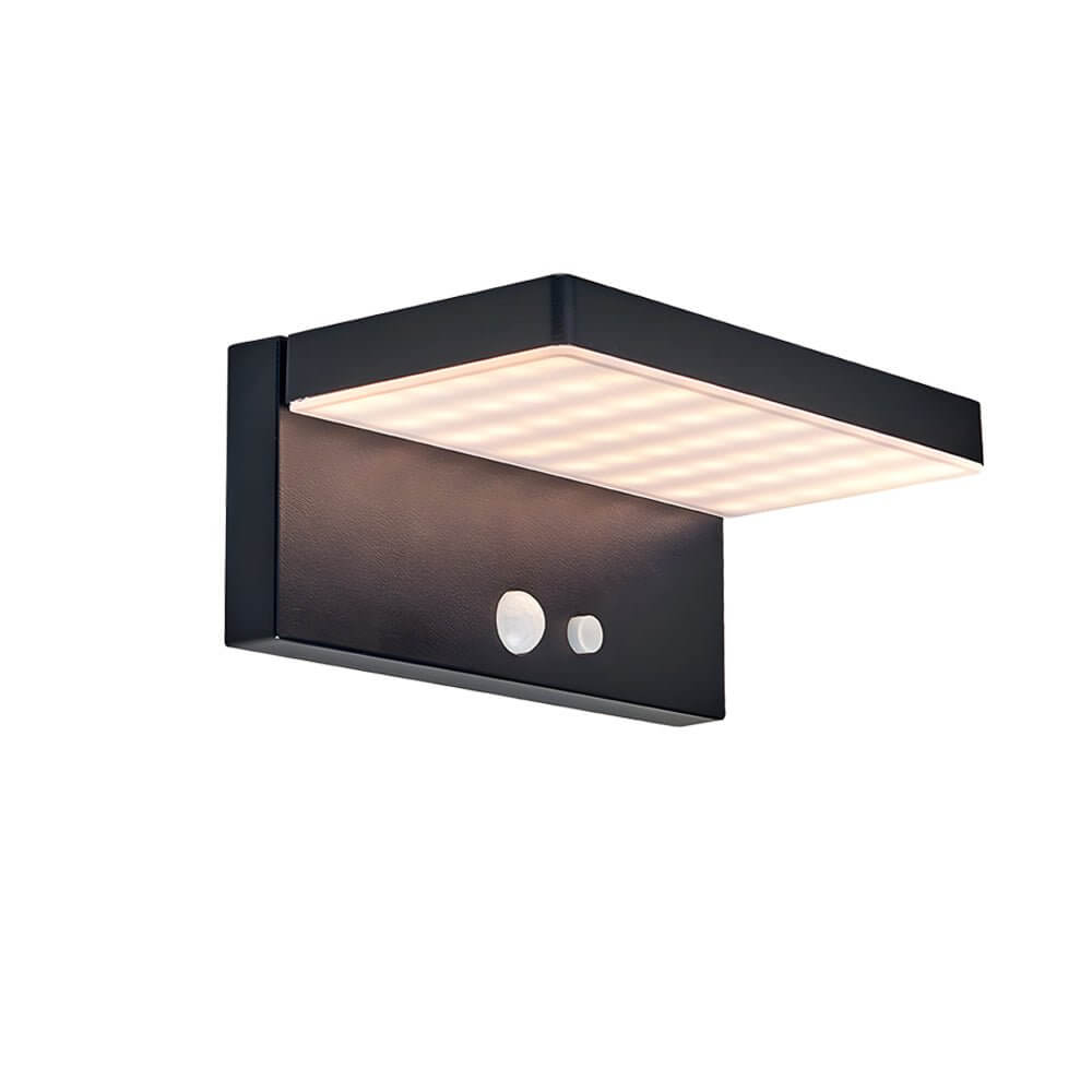 Tristan Solar LED Motion Sensor Aluminum Outdoor Wall Light