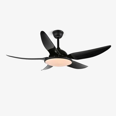 Aquila Modern Ceiling Fan Light