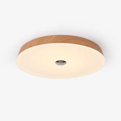 Ceshaora Modern Minimalist Woodgrain Ceiling Light