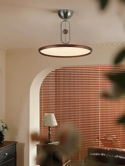 Lucaian Modern Acrylic Ceiling Lamp