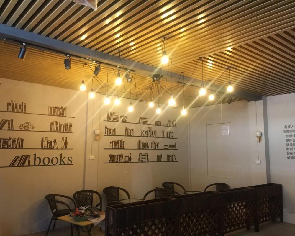 Soruora Chandelier Spider Cable Industrial