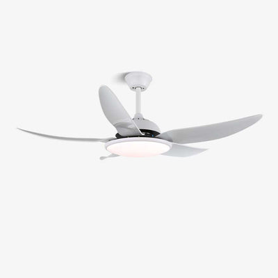 Aquila Modern Ceiling Fan Light