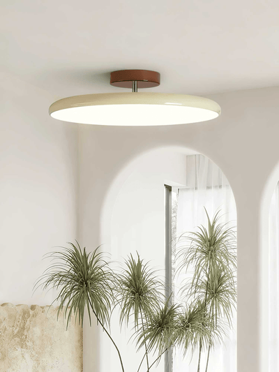Liorarine Ceiling Light Drift Adjustable Round