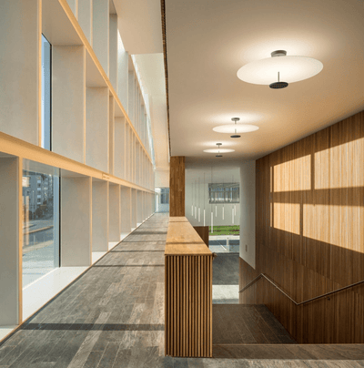 Miraline Modern Ceiling Light