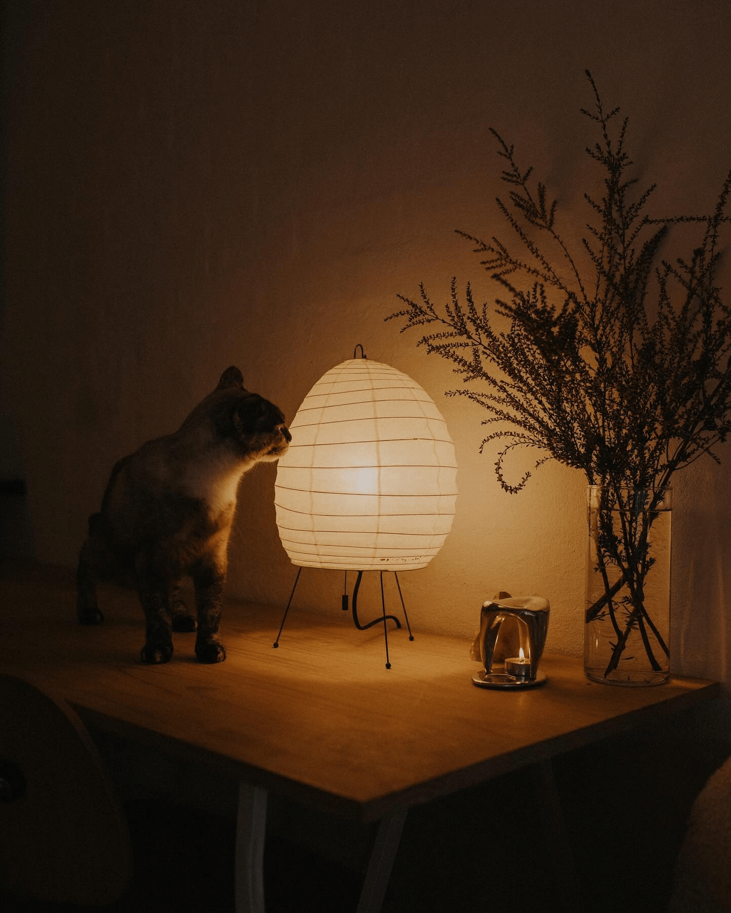 Elaris Modern Rice Paper Table Lamp