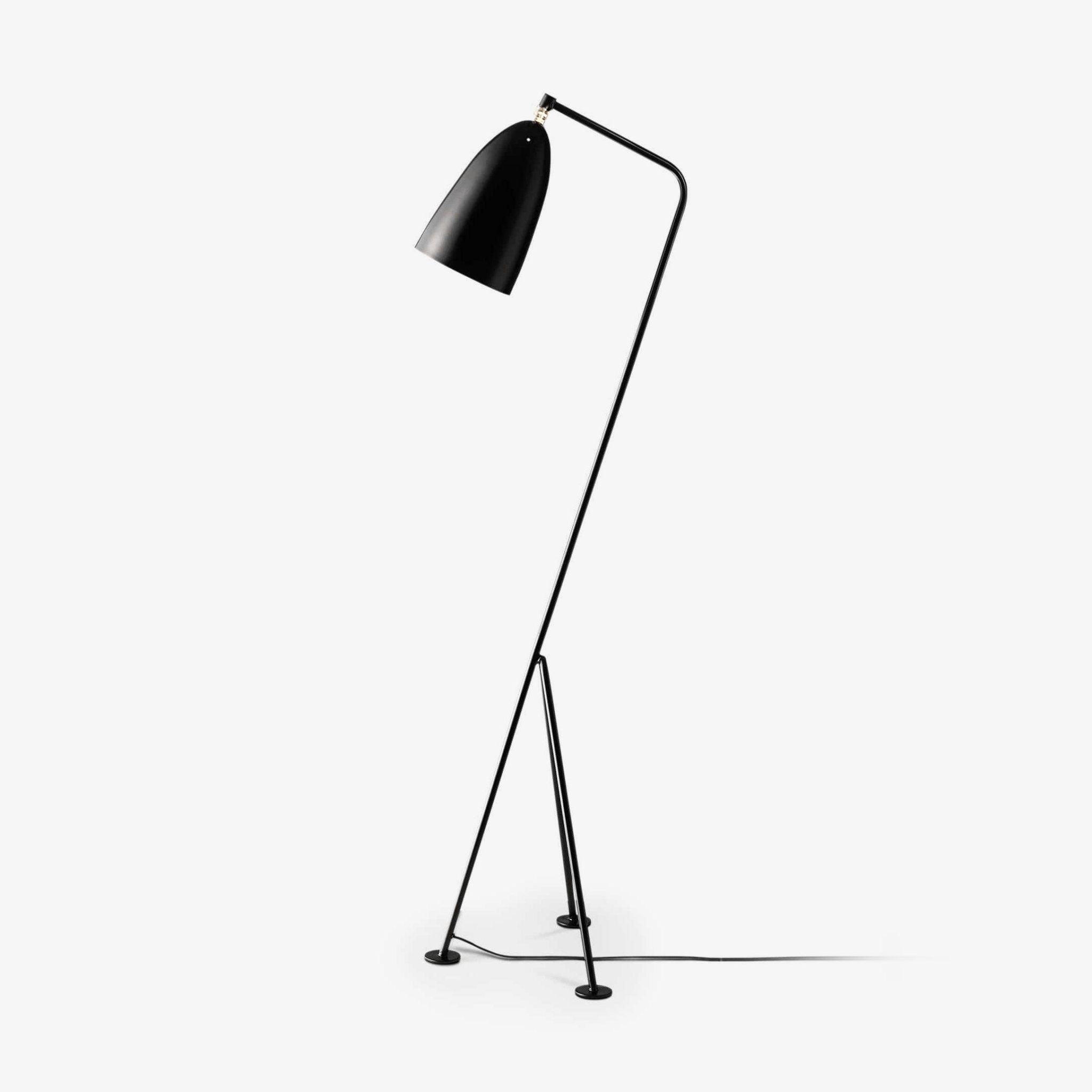 Mireleria Minimalist Floor Lamp