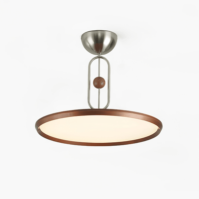Lucaian Modern Acrylic Ceiling Lamp