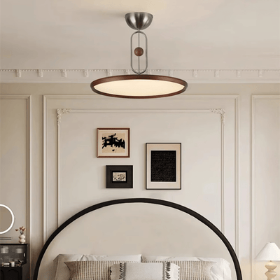 Lucaian Modern Acrylic Ceiling Lamp