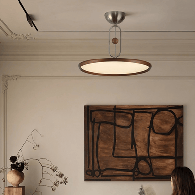 Lucaian Modern Acrylic Ceiling Lamp