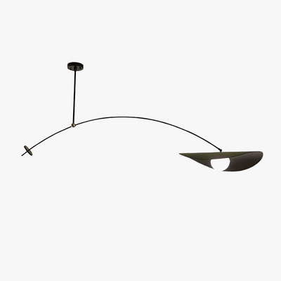 Arcflow Dynamic Curve Pendant Light