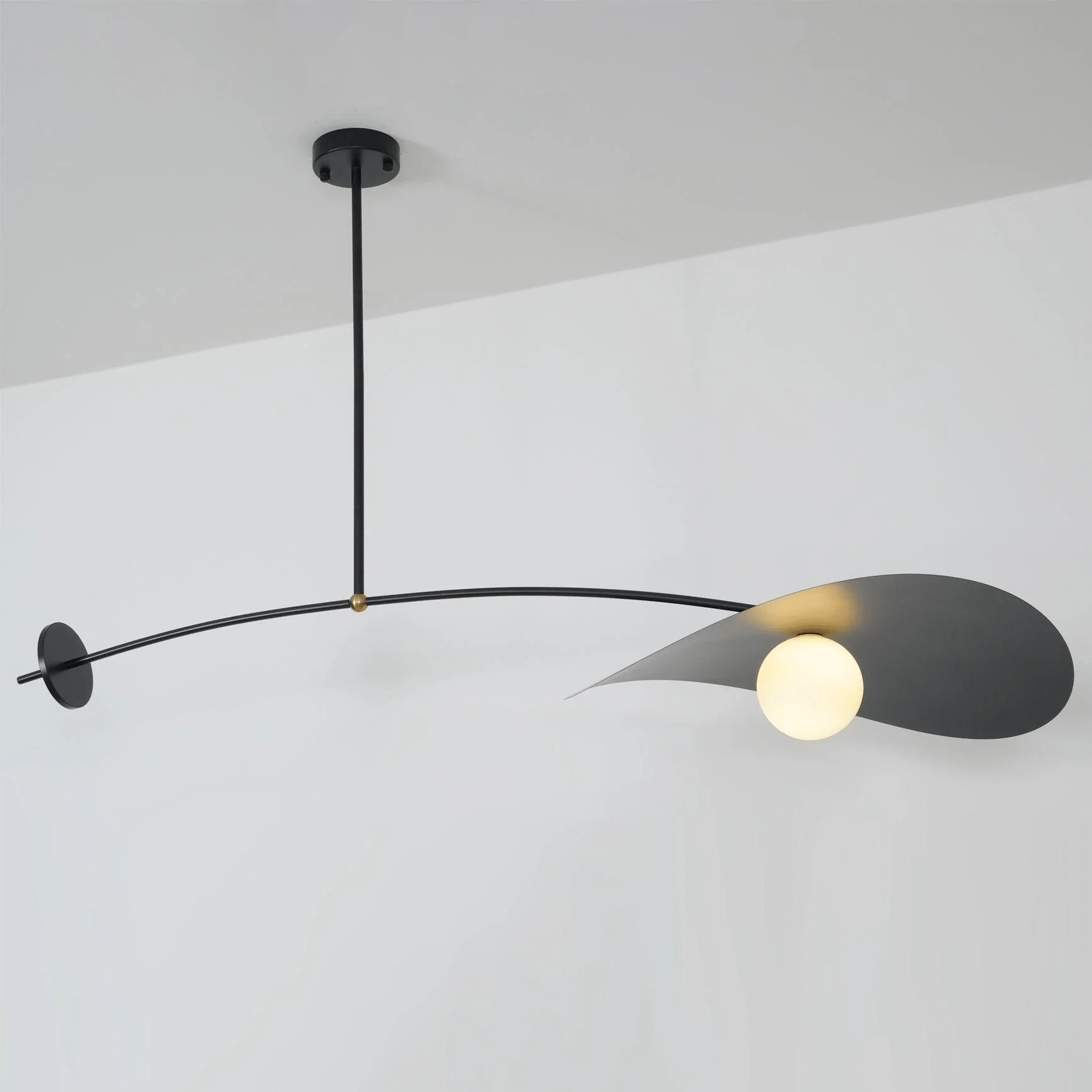 Arcflow Dynamic Curve Pendant Light