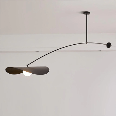 Arcflow Dynamic Curve Pendant Light