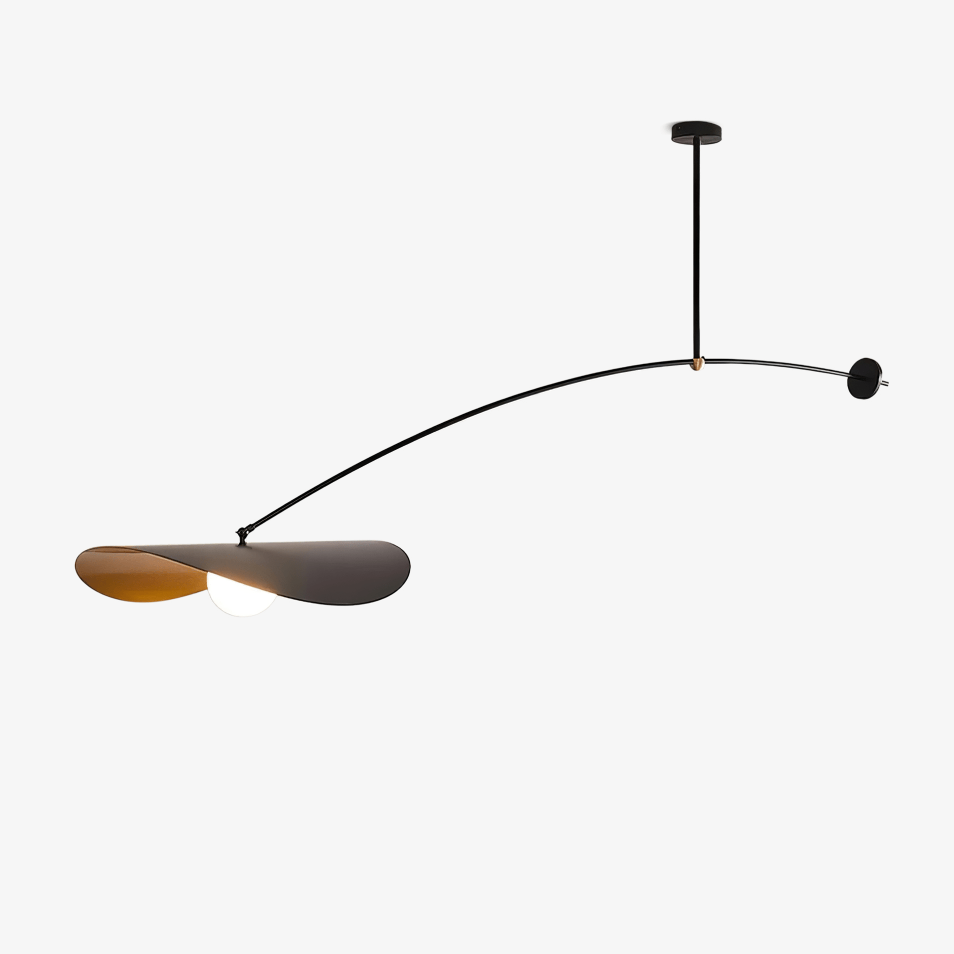 Arcflow Dynamic Curve Pendant Light