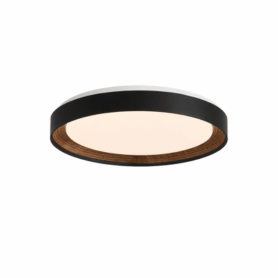Lucien Acrylic Ceiling Light