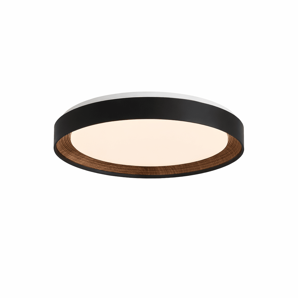 Lucien Acrylic Ceiling Light