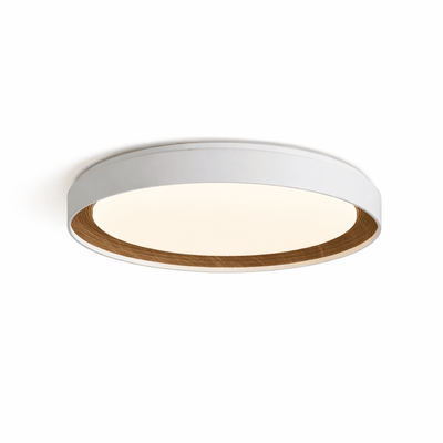 Lucien Acrylic Ceiling Light