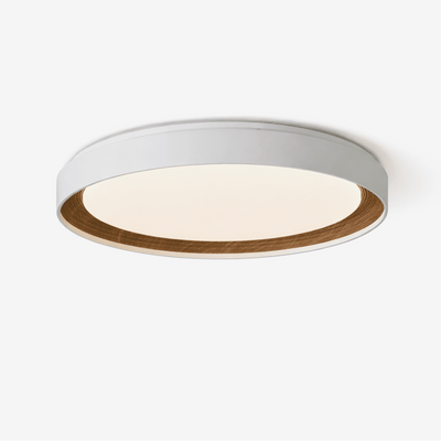 Lucien Acrylic Ceiling Light