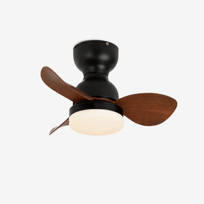 Renuina Ceiling Fan Light