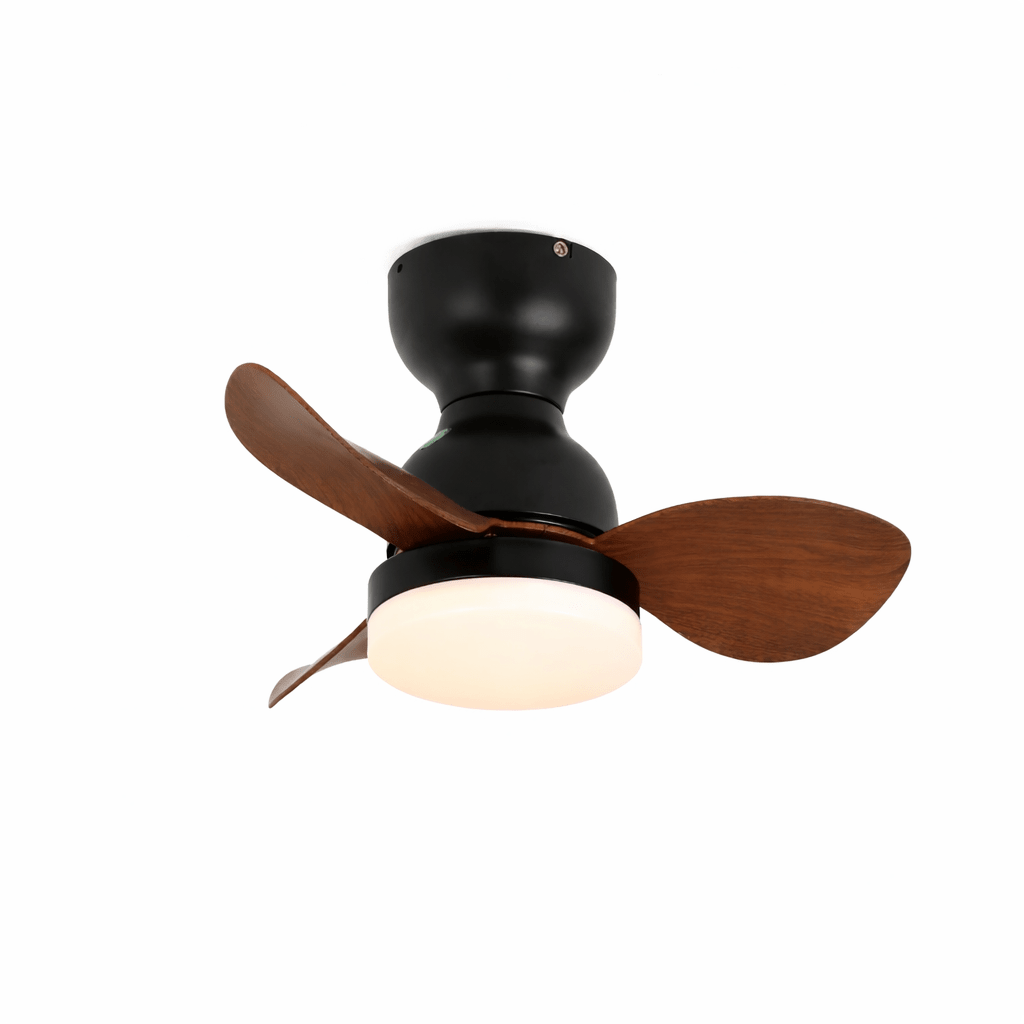 Renuina Ceiling Fan Light