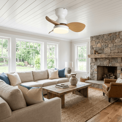 Renuina Ceiling Fan Light