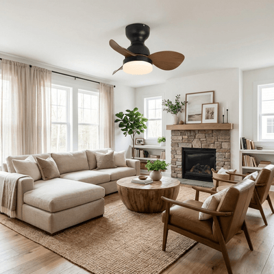 Renuina Ceiling Fan Light